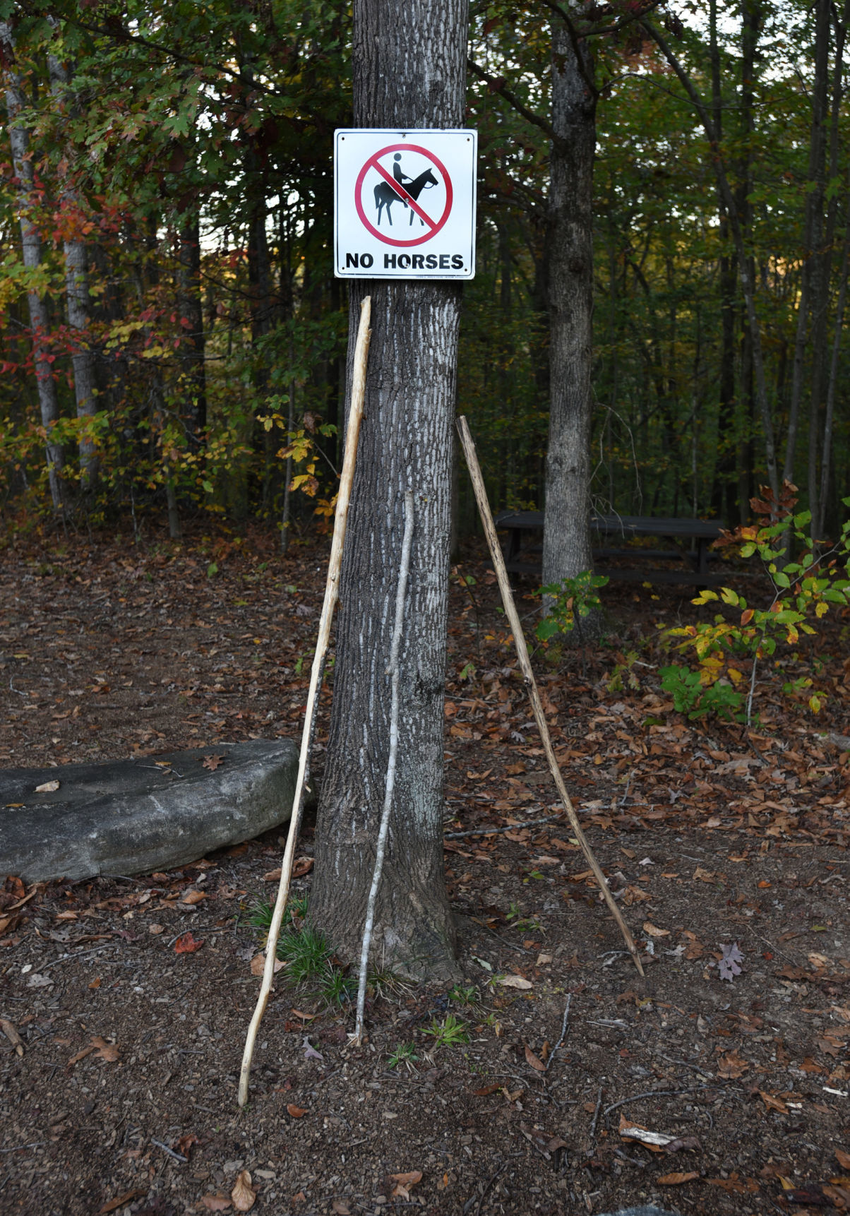 Knight Brown Nature Preserve